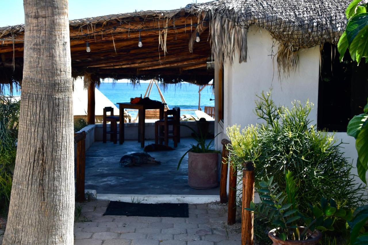 Rustico Lounge - Property In Front Of The Beach San José del Cabo Exterior foto